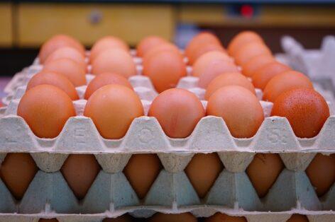 Table eggs rose by 30 percent in the first half of the year