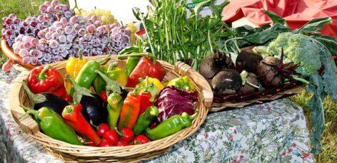 NAV: selling self-produced fruit may be tax-free up to an annual income of six hundred thousand forints
