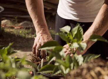 Amendment of the Nitrate Regulation is beneficial for farmers