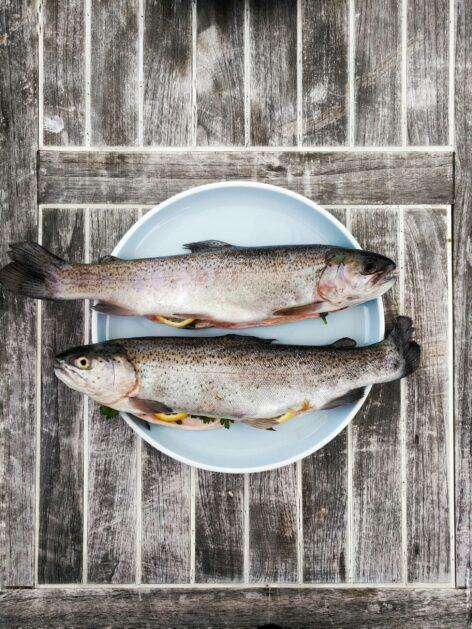 This was the year 2024 in the world of fishing and fish farming