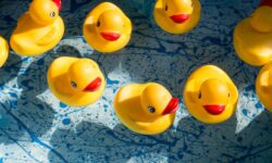 The Rubber Duck Craze: A Timeless Trend Loved by Millennials and Collectors Alike