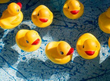 The Rubber Duck Craze: A Timeless Trend Loved by Millennials and Collectors Alike