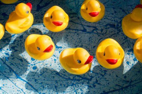 The Rubber Duck Craze: A Timeless Trend Loved by Millennials and Collectors Alike