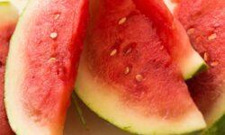 Juicy Start: Hungary’s 2025 Melon Season Has Officially Kicked Off