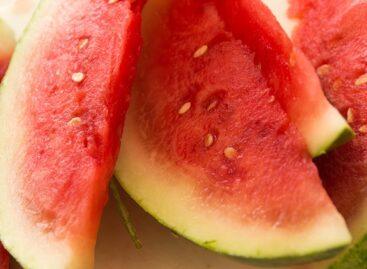 Juicy Start: Hungary’s 2025 Melon Season Has Officially Kicked Off