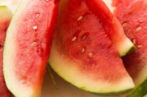 Juicy Start: Hungary’s 2025 Melon Season Has Officially Kicked Off