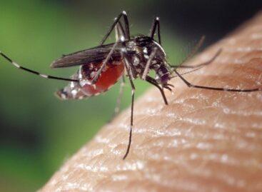 Mosquito control consortium denies that mosquito control is harmful to the fetus