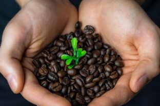 Tovább nőtt a fair trade Németországban