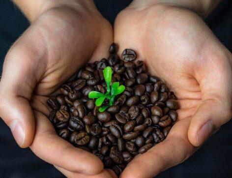 Fair trade grows by 11% in Germany