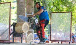 The chainsaws roar, the best Hungarian loggers compare their skills