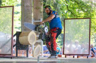The chainsaws roar, the best Hungarian loggers compare their skills