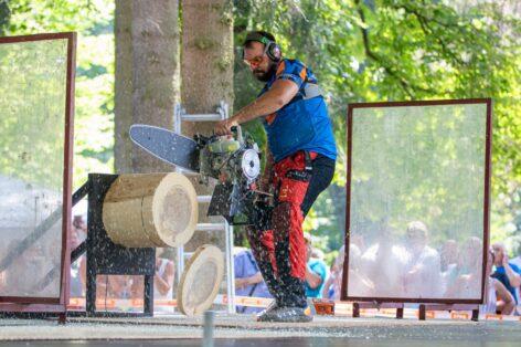The chainsaws roar, the best Hungarian loggers compare their skills