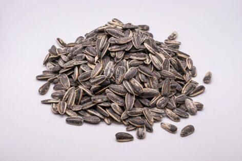 Sunflower seeds become more expensive