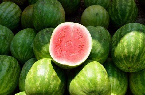 Hungarian melons can regain their lost export markets, according to producer associations