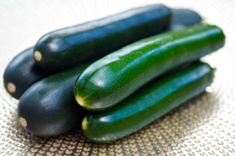 Here is the Szupermenta summer seed test: zucchini in the lead role