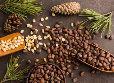 Food allergy labels should be expanded, study suggests