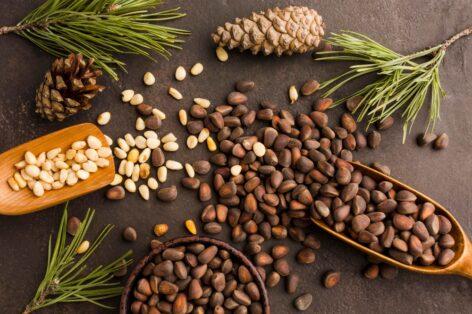 Food allergy labels should be expanded, study suggests