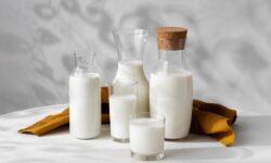 NGM: another step to strengthen the Hungarian dairy sector