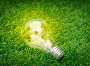 Green Cloud is rewriting the rules of corporate sustainability: green energy as a competitive advantage