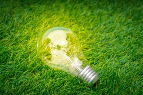 Zöldenergia, mint versenyelőny – Így írja újra a Green Cloud a vállalati fenntarthatóság szabályait
