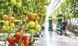 Versenyképes agrárium a vidék fejlődéséért