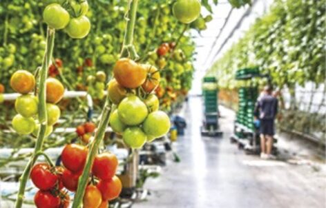 With a competitive agriculture for the development of rural regions