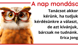 A nap mondása