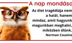 A nap mondása