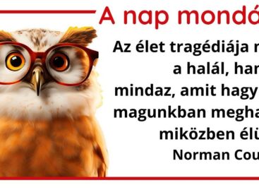 A nap mondása