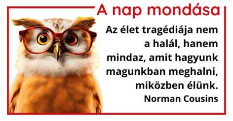 A nap mondása