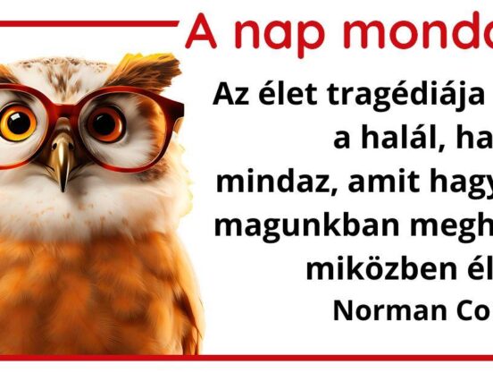 A nap mondása