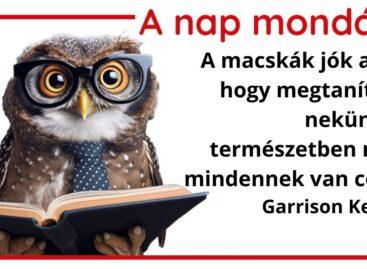 (HU) A nap mondása