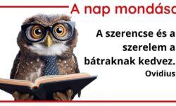 (HU) A nap mondása