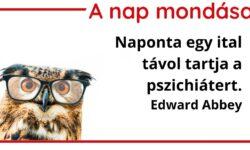 (HU) A nap mondása