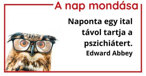 (HU) A nap mondása