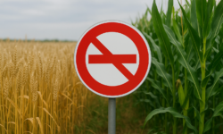 AM: the interests of Hungarian farmers come first, we will continue to maintain the import ban on Ukrainian agricultural products