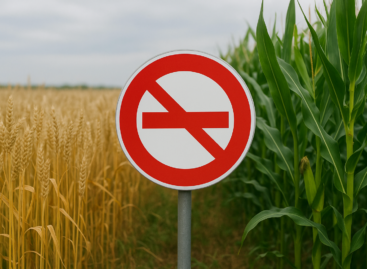 AM: the interests of Hungarian farmers come first, we will continue to maintain the import ban on Ukrainian agricultural products