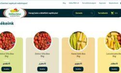 Own store and webshop for producers in Szentes