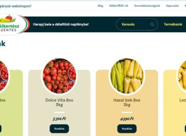 Saját boltot és webshopot kaptak a szentesi termelők