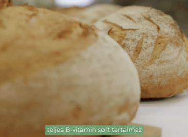 Magyar hagyományokkal és mediterrán életérzéssel találkozhatunk az Ország kenyere és Innovatív kenyere díj győzteseinél