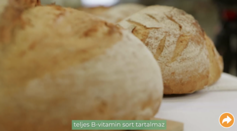 Hungarian traditions and a Mediterranean sense of life can be found at the winners of the Bread of the Country and Innovative Bread awards.