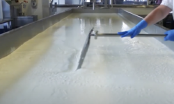 Cottage cheese is back: the American dairy industry is booming again