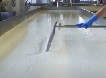 Cottage cheese is back: the American dairy industry is booming again