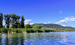 A turisták is felelősek a Balaton sorsáért
