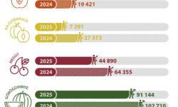 Több mint 70 százalékkal esett vissza az őszibarack termésátlaga idén