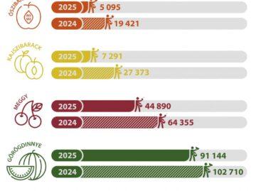 Több mint 70 százalékkal esett vissza az őszibarack termésátlaga idén
