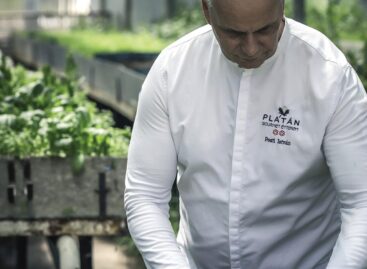 Új üvegház a Platán Gourmet-ben