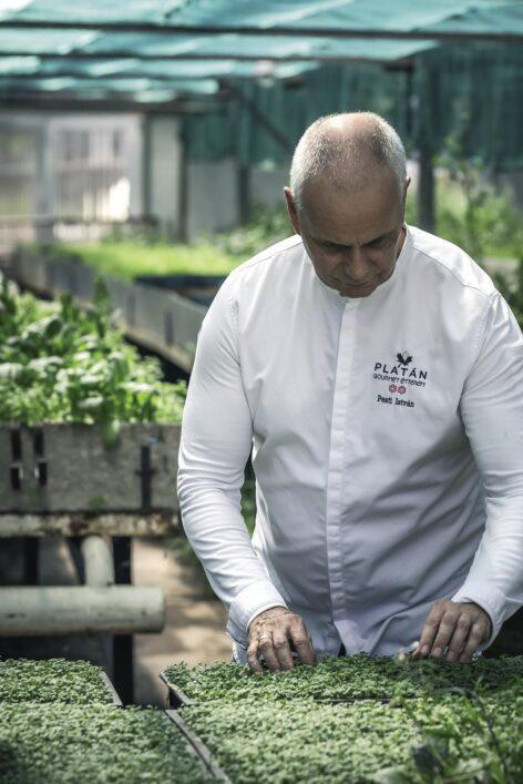 Új üvegház a Platán Gourmet-ben