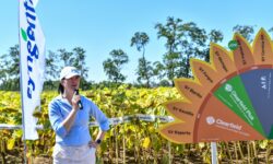 New challenges, innovative answers in sunflower and corn cultivation