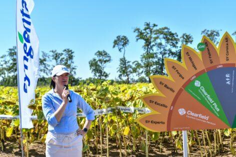 New challenges, innovative answers in sunflower and corn cultivation